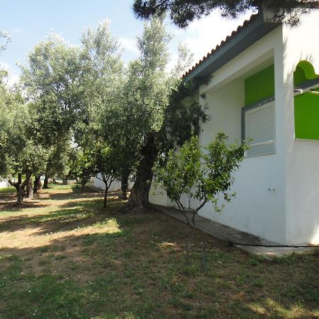 גראקיני Bungalows Camping Kouyoni מראה חיצוני תמונה